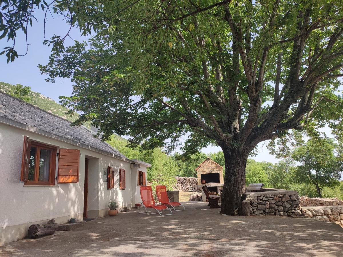 Holiday Home Lucija "" Private House With Pool "" Jablanac Zewnętrze zdjęcie